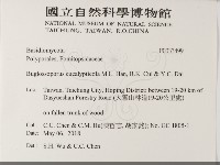 登錄號:F0033499藏品圖，第2張