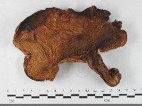 登錄號:F0033499藏品圖，第1張