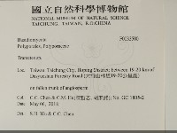 栓菌屬藏品圖，第2張