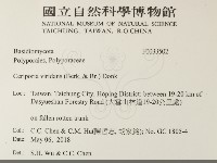 登錄號:F0033502藏品圖，第2張