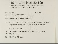 登錄號:F0033503藏品圖，第2張