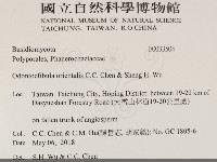 登錄號:F0033504藏品圖，第2張