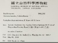 登錄號:F0033505藏品圖，第2張