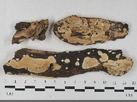 登錄號:F0033507藏品圖，第1張