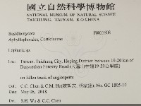 登錄號:F0033508藏品圖，第2張