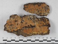 登錄號:F0033509藏品圖，第1張