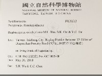 登錄號:F0033513藏品圖，第2張