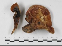 登錄號:F0033513藏品圖，第3張