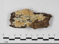 登錄號:F0033514藏品圖，第1張