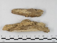 登錄號:F0033515藏品圖，第1張