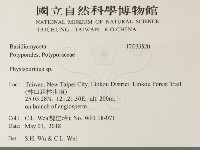 登錄號:F0033520藏品圖，第2張