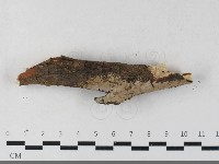 登錄號:F0033520藏品圖，第1張
