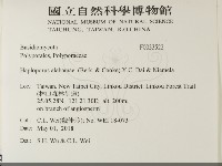 登錄號:F0033522藏品圖，第2張