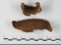 登錄號:F0033523藏品圖，第1張