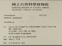 登錄號:F0033524藏品圖，第2張