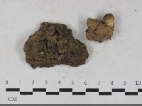 登錄號:F0033524藏品圖，第1張