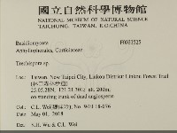 粗糙孢菌屬藏品圖，第2張