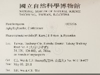 登錄號:F0033526藏品圖，第2張