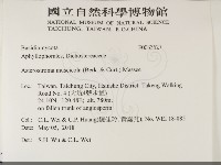 登錄號:F0033527藏品圖，第2張