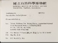 登錄號:F0033529藏品圖，第2張