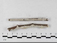 登錄號:F0033530藏品圖，第1張