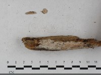 登錄號:F0033531藏品圖，第1張