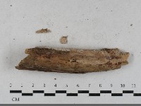 登錄號:F0033531藏品圖，第3張