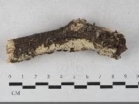 登錄號:F0033532藏品圖，第1張