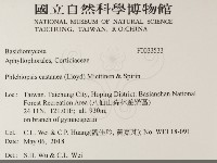 登錄號:F0033533藏品圖，第2張