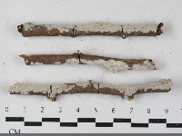 登錄號:F0033534藏品圖，第1張