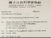 登錄號:F0033535藏品圖，第2張