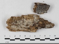 登錄號:F0033535藏品圖，第1張