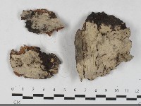 登錄號:F0033537藏品圖，第1張