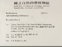 登錄號:F0033539藏品圖，第2張