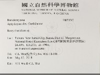 登錄號:F0033540藏品圖，第2張
