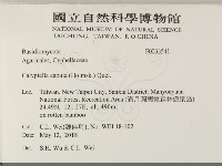 登錄號:F0033541藏品圖，第2張