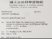 登錄號:F0033542藏品圖，第2張