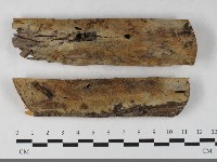 登錄號:F0033543藏品圖，第1張