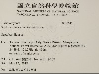 登錄號:F0033545藏品圖，第2張