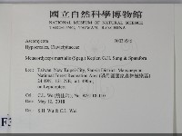 登錄號:F0033546藏品圖，第2張