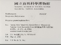 登錄號:F0033547藏品圖，第2張