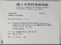 登錄號:F0033548藏品圖，第2張