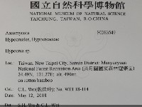 登錄號:F0033549藏品圖，第2張