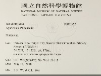 登錄號:F0033552藏品圖，第2張