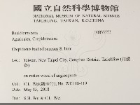 登錄號:F0033553藏品圖，第2張