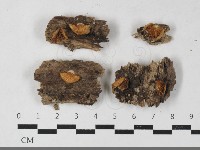 登錄號:F0033553藏品圖，第1張