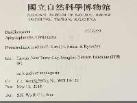 登錄號:F0033554藏品圖，第2張