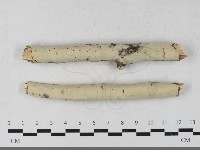 登錄號:F0033554藏品圖，第1張