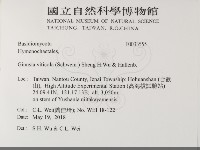 登錄號:F0033555藏品圖，第2張