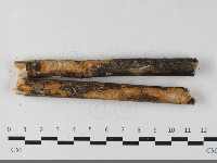 登錄號:F0033555藏品圖，第1張